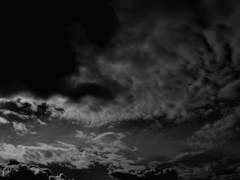 4. 서까지 같이 가주셔야 할 것 같은데요.