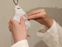 03. 달성률 300% 펀딩을 만든 법