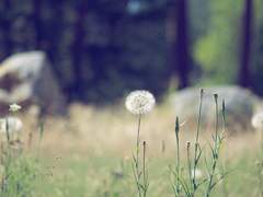 그것이 내가 마지막으로 보았던 네 미소였다.