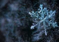 [국민] 구실의 구실 中