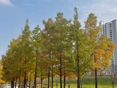 [겨울] 11월 05일⎜평생 소원이 누룽지