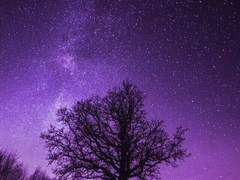 네가있는 천국에 갈 수 없어