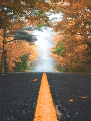 거꾸로 돌아선 시작