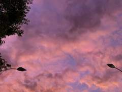 🌕 악몽 ( 惡夢 ) 캐신 양식