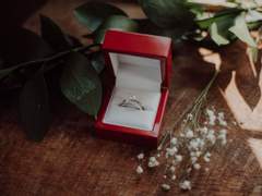 [조로산] Dies irae 2