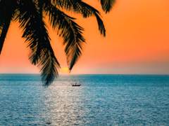 [조로산] Dies irae 4