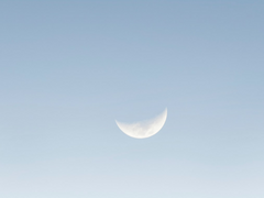 사요나라 투모로우 2