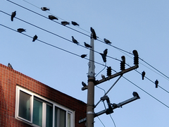 여기까지 인용하세요