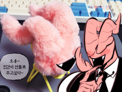 구독자 멤버쉽 이벤트 :: 인좋악 쪼랭이