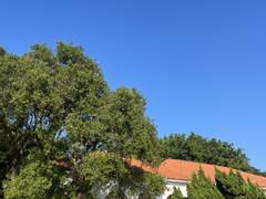 [여름]날씨는 맑음