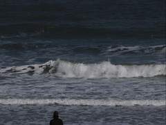 살인상생의 속마음, 알고싶어?