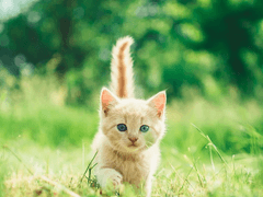 7화. 신과의 대화, 그리고 전말