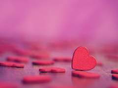 con allegrezza (下)