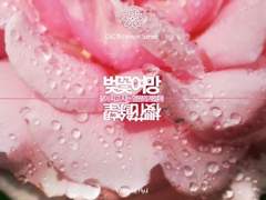 [청배] 벚꽃은 여명에 망각되는가 (봄)