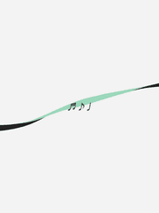 등이 작은 지휘자