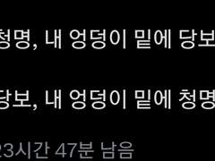 [당청 드림썰 현패1] 누가 더 푹신푹신해?