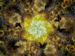 변화하는 것, 변화하지 않는 것