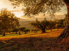 감성 준비 기간