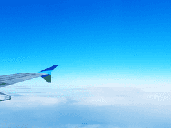 2023 가을 대모험