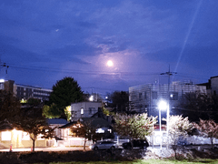 2023 가을 대모험 Part 2