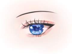 [업뎃] 영롱 반짝 글리터 11종 세트+하이라이트 4종 (1종 무료)