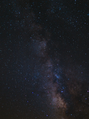 꿈과 절망의 세상, 판타지아