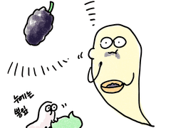 시골집 이야기 6