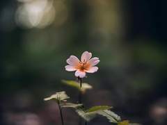 [소을]Now & Forever 19