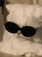 작가의 사심 시리즈 