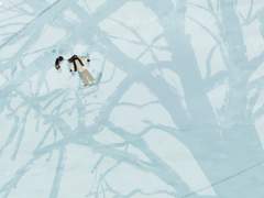 너를 보러 가기 위해 나는 매일 꿈을 꾼다.