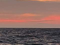 성수혜 / 18 / XX / 평설고