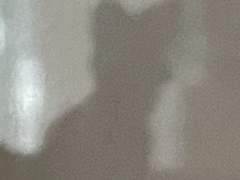 우리 계약 할래요?