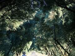 론리 블루 플래닛 13