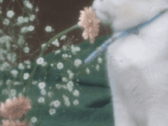 Prologue: 그대를 서술하는 법