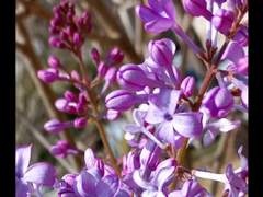 [스파루치ts] 과거는 과거일 뿐