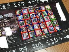 롤니쉘 도안입니다만?