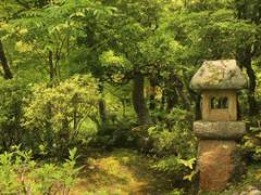 오노레 야란네/ 500, 21/ 영물, 너구리