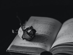 그는 모든 것을 기억한다. (上)