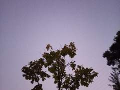 [수이웃 공×각] 이별과 추억 사이 영원한 사랑