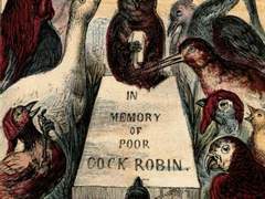 누가 울새를 죽였나