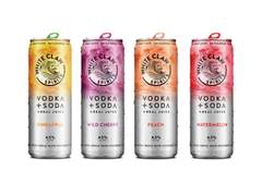 Canned Alcoholic Beverages Market Size, Share, Trends, Industry Overview and Forecast 2023-2028