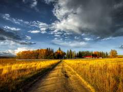 끝 없는 이기심