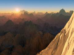 사회 정신병적 증상