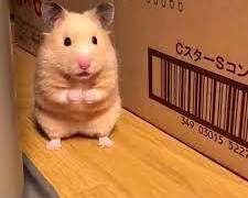 이 사랑은 해롭다! (ㅠ_ㅠ) +