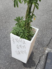 백지암 과제 에세이