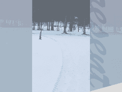 [동오대만(+이명헌)] Present 외전 6 - 길 (유료발행)