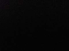 어느 가을 밤의 소동