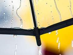 고백은 소나기와 함께!