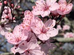 도화살 있는 사람처럼 행동하는 법