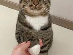 그동안 고마웠다냥